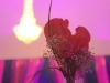 mg_5526