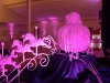 mg_5536